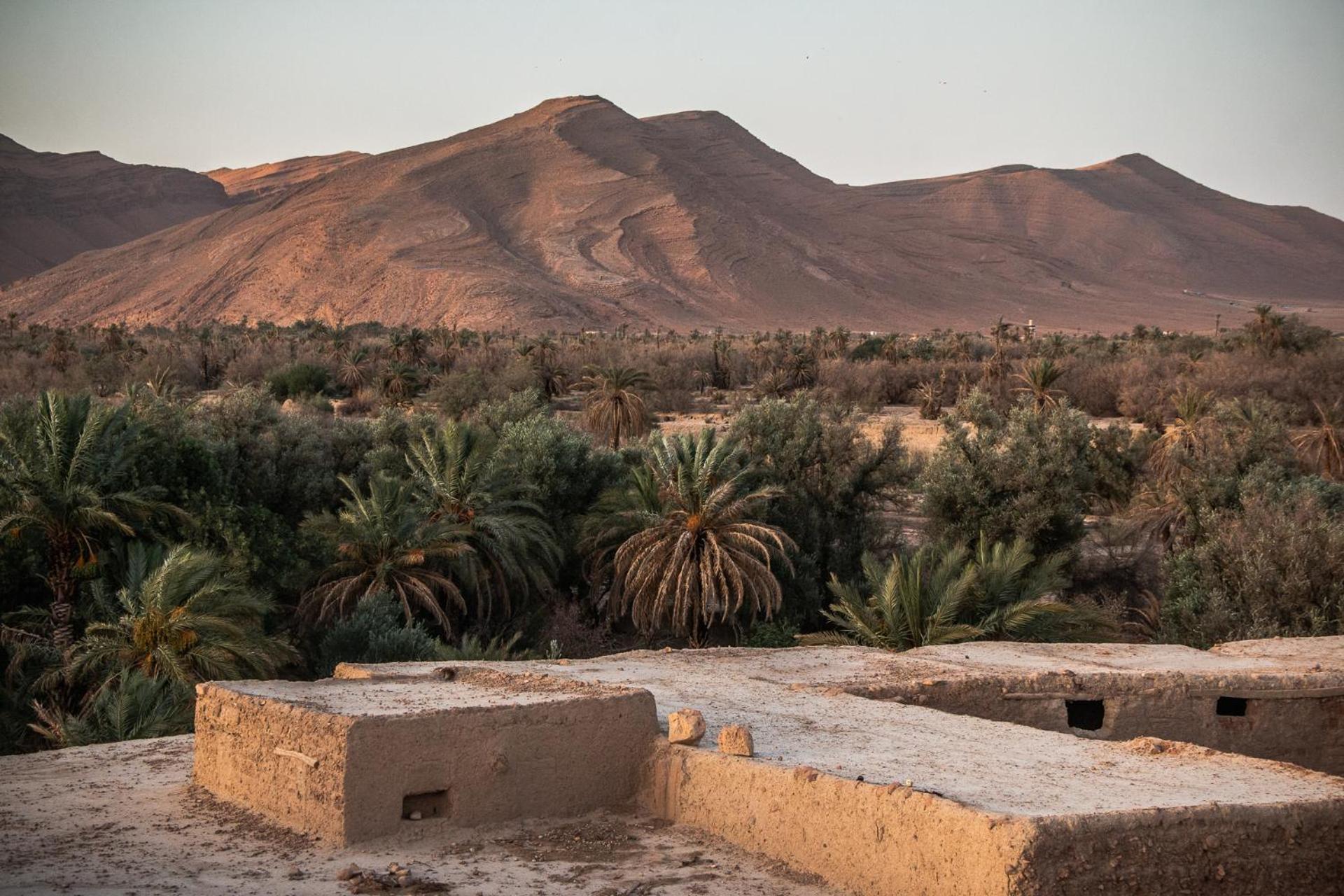 Bed and Breakfast Oasis Travel Tazouka Экстерьер фото
